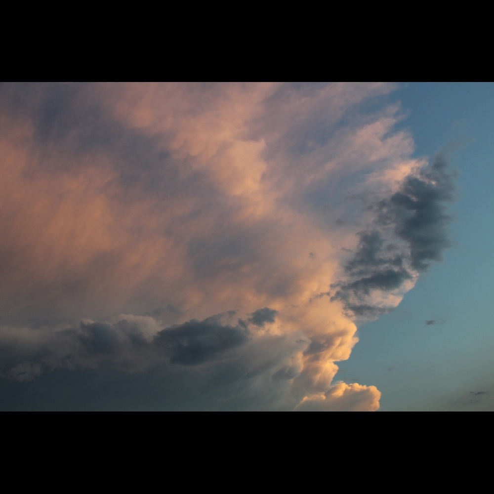 Meet your Posher, Ana